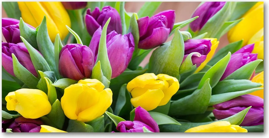 Fotó üvegkép Színes tulipánok 140x70