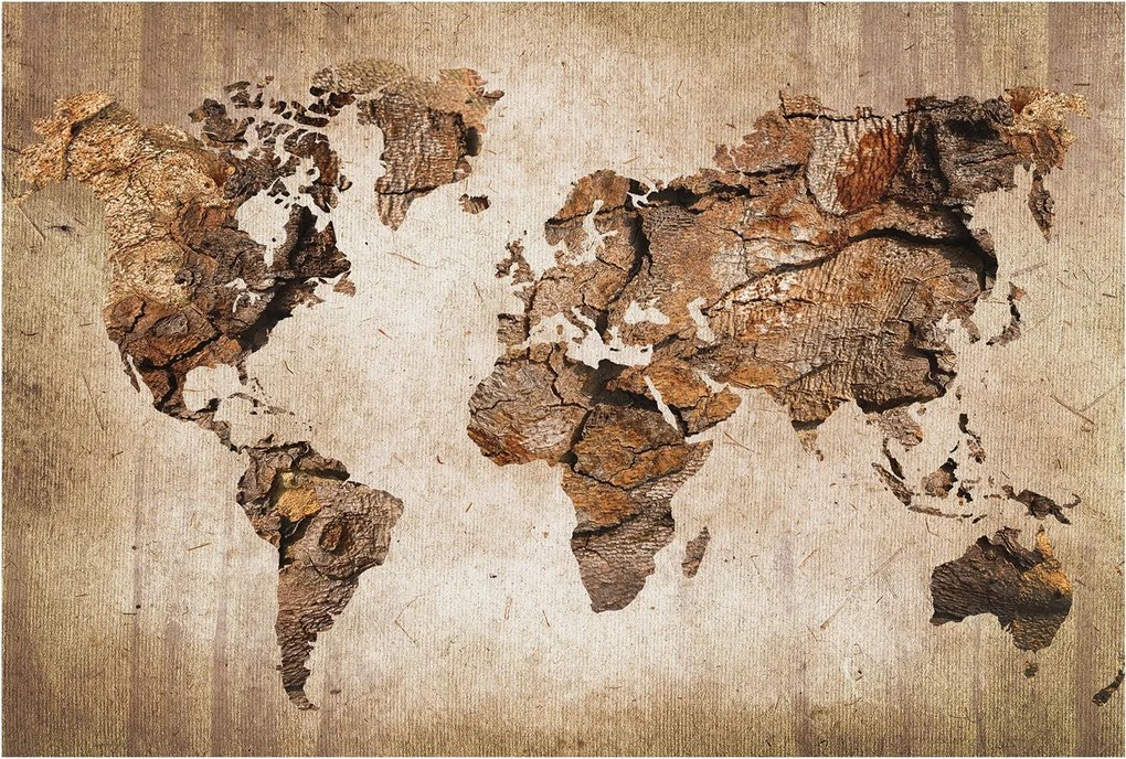 Flizelin fotótapéta Flizelin Design Fa térkép 104x70 Ragasztó