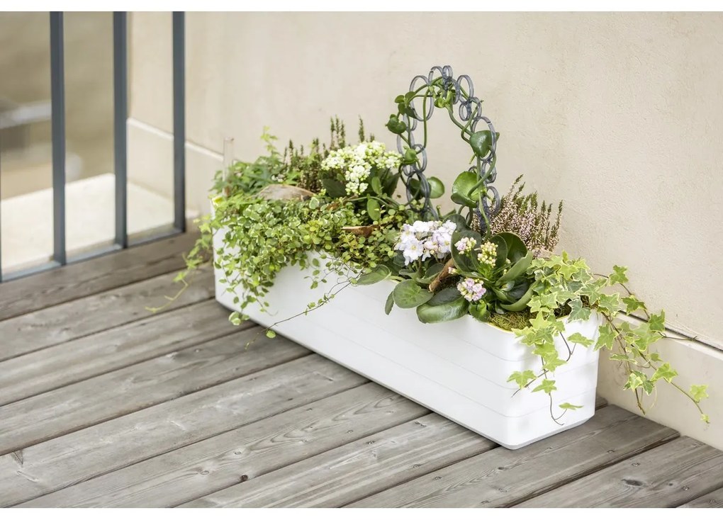 Plastia Berberis 60 önöntöző láda, fehér + zöld, 60 cm