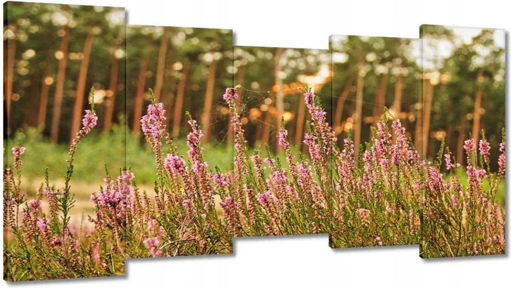 Vászonkép 150x80 Pókhálóval fonott hanga