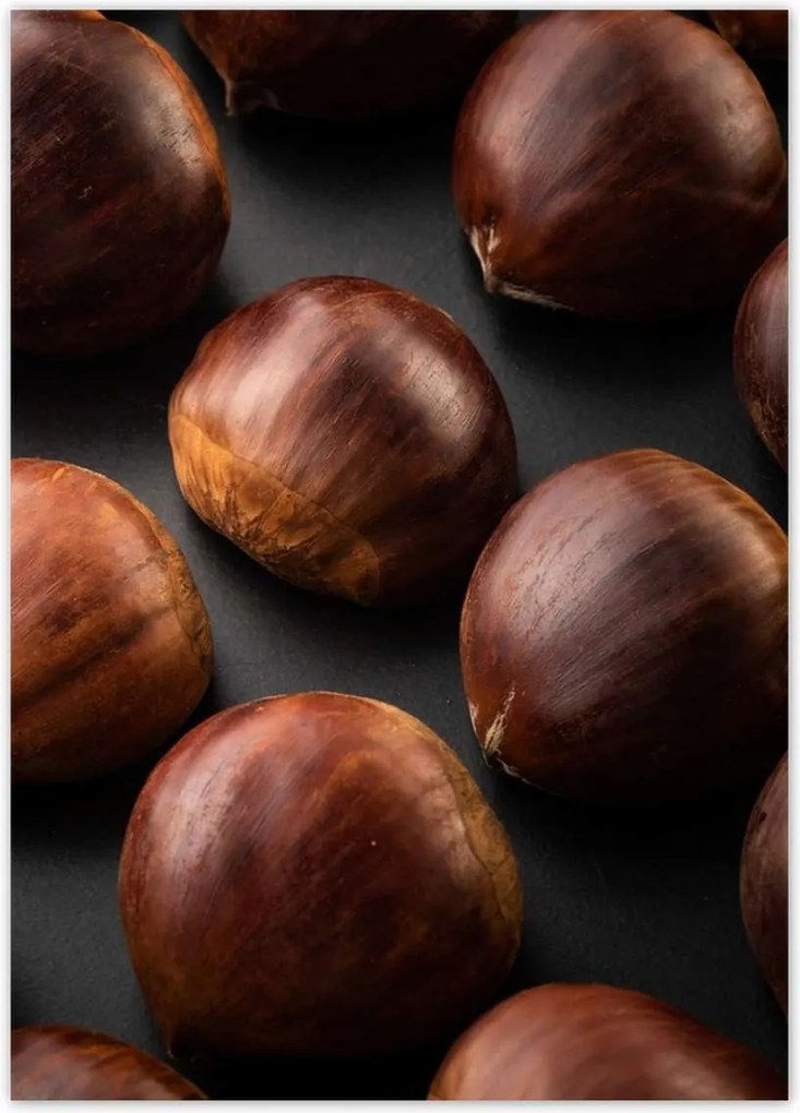 Poszterek 50x70 Kormány Ehető gesztenye