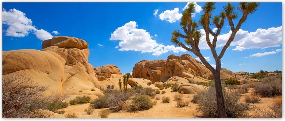 Fotótapéták flizelina 250x104 Sivatagi táj