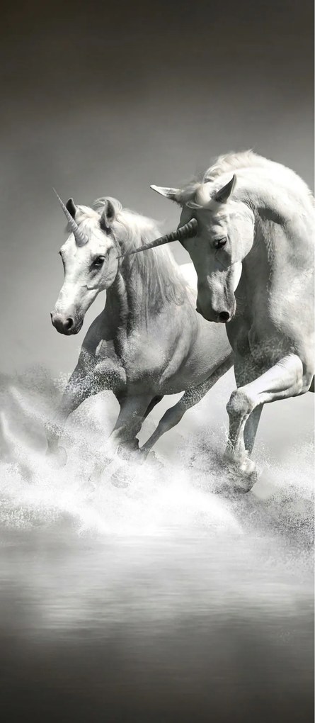 Fotótapéta Unikornisok Monokróm mágia fehér 91x211