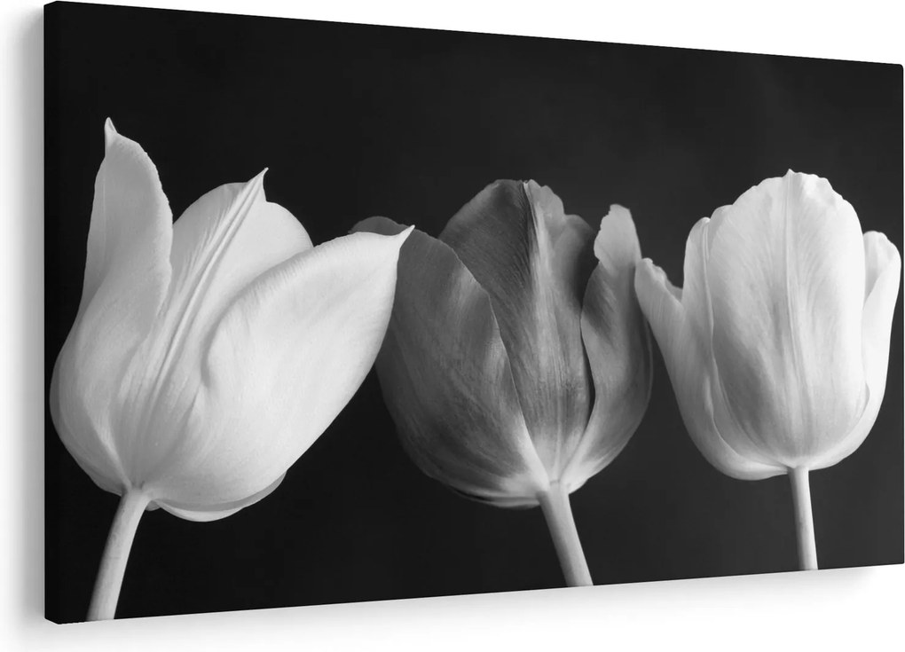 Kép - fekete-fehér tulipán virág (90x60 cm)