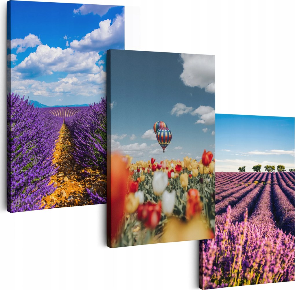 Vászonkép 150 cm **többféle minta** Nappali Képek Triptichon Virágok