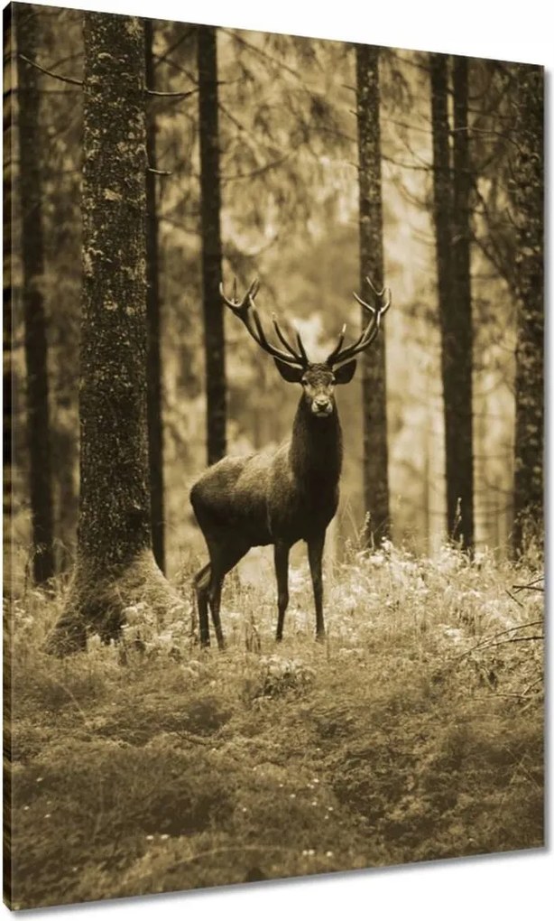 Vászonkép 70x100 Szarvas a szépia erdőben
