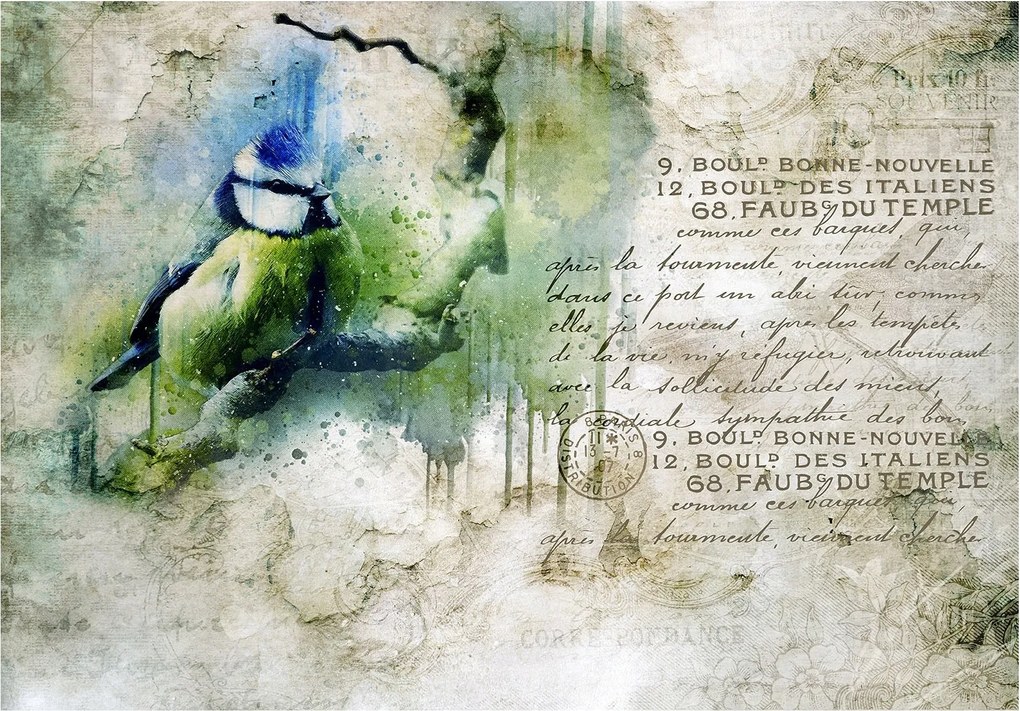 Flizelin fotótapéta Madár az ágon vintage levelekkel 300x210 +ragasztó