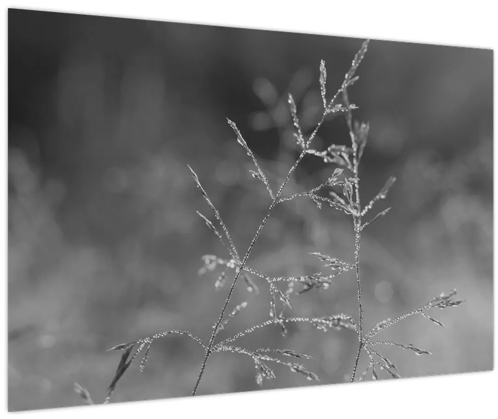 Kép - Vidéki rét (90x60 cm)