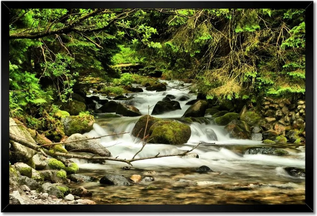 Poszterek keretben 60x40 Patak a hegyekben
