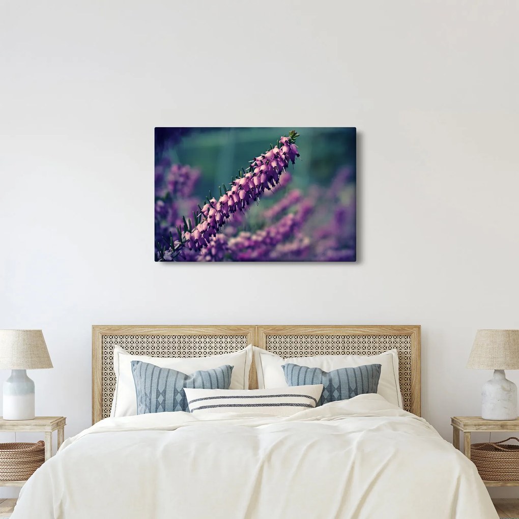 Levandula képe (90x60 cm)
