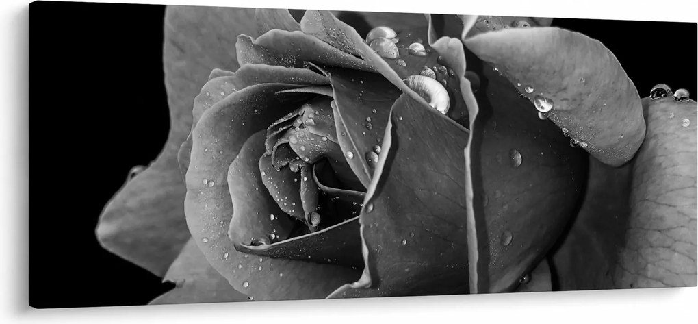 Rózsa képe - fekete fehér (120x50 cm)