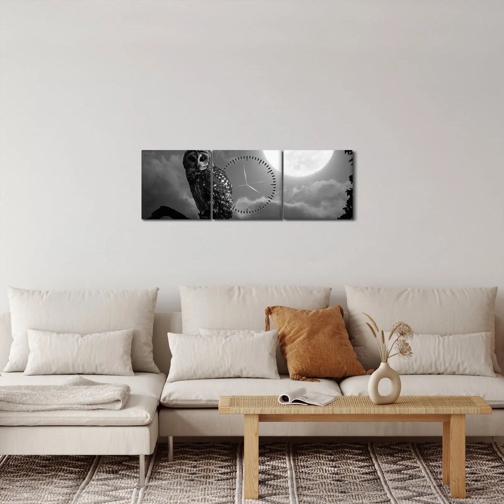 Kép - Éjjeli bagoly, fekete-fehér (órával) (90x30 cm)