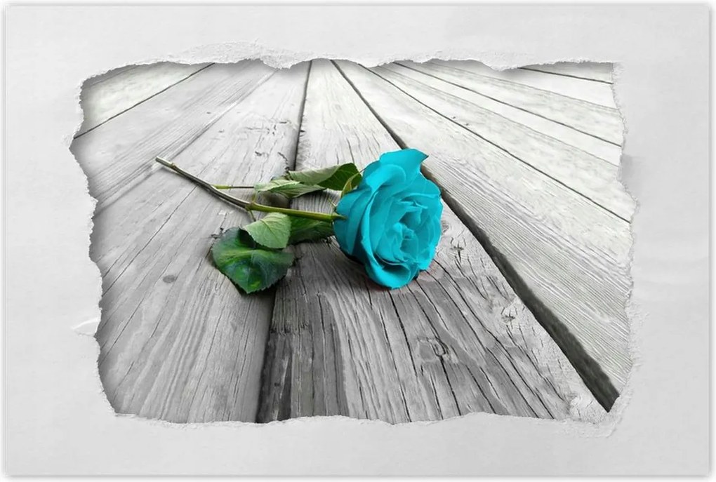 Poszterek 120x80 Kék rózsa a deszkákon