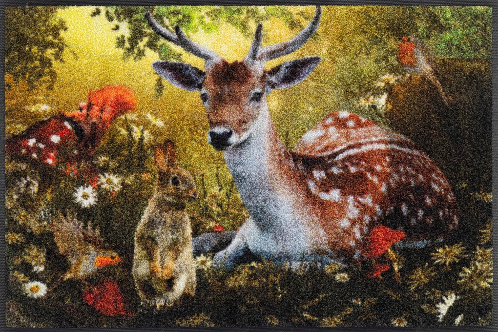 Lábtörlő bejárati szőnyeg|Wash+Dry|Forest Whisper 50x75cm