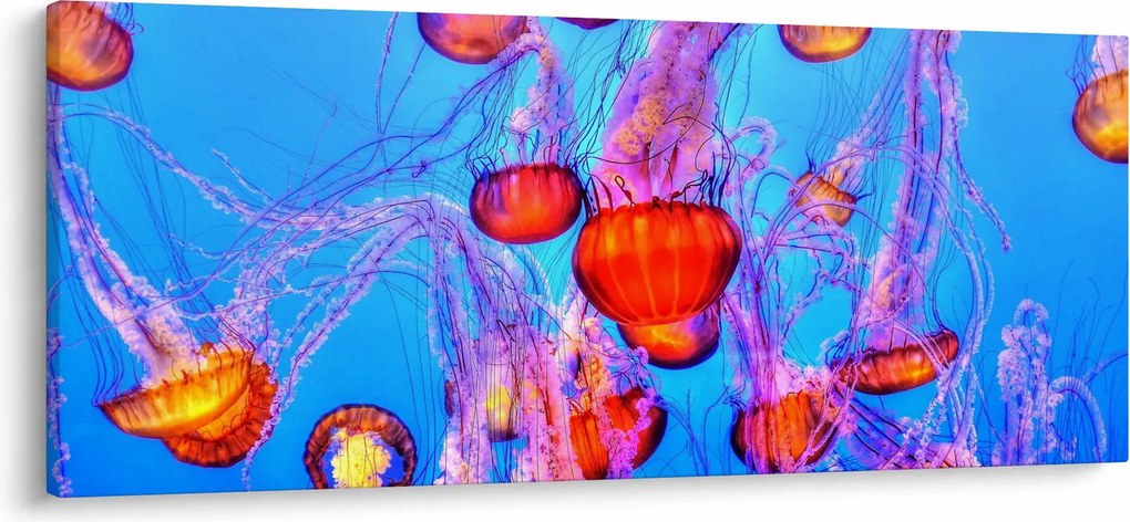 Medúza a tengerben képe (120x50 cm)