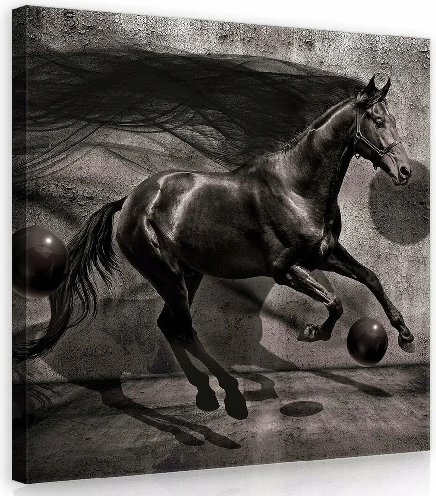 Vászonkép 40x40 Ló futás ugrás sebesség erő kecsesség dinamika mozgás energia fekete