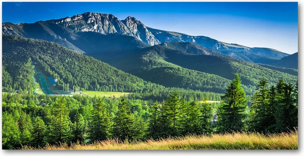 Fotó üvegkép Ugrálóvár a Tátrában 140x70