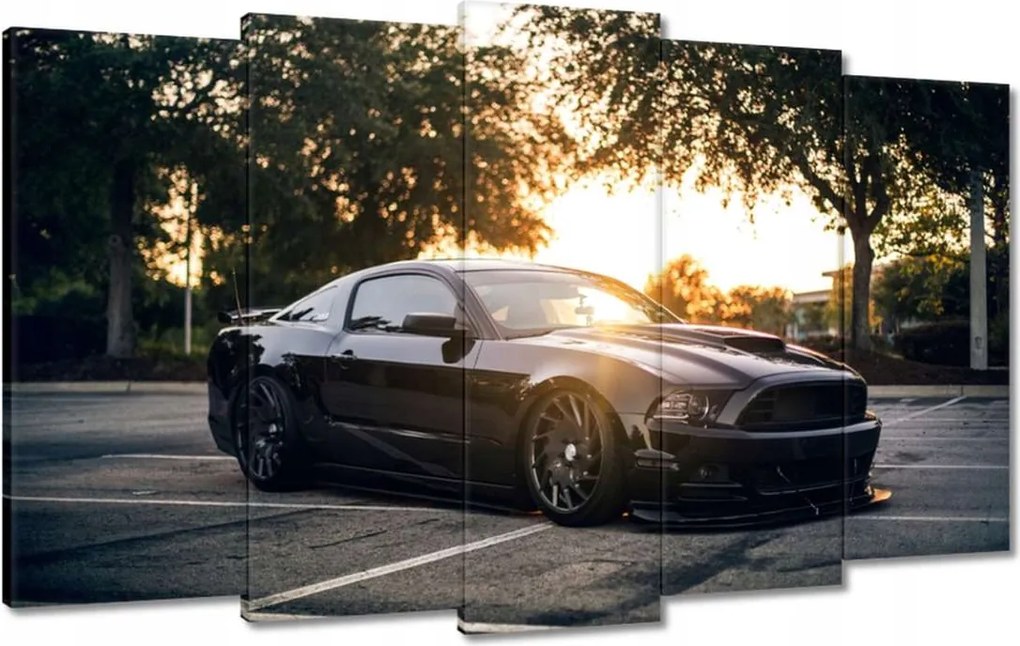 Képek 100x60 Fekete fenevad Mustang