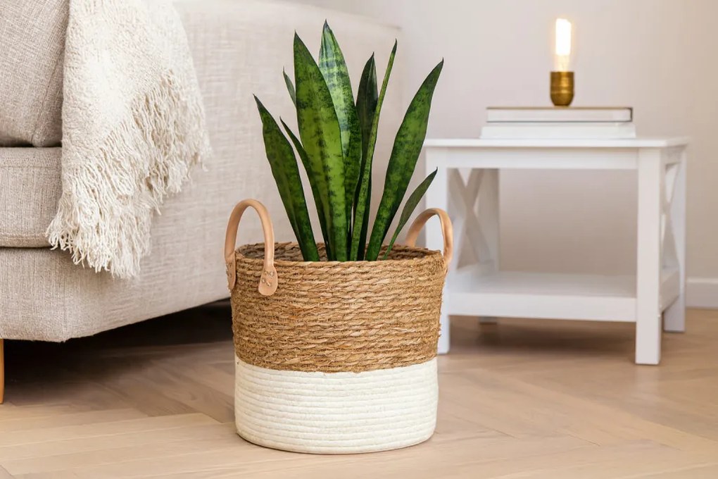 Tengerifű kosár 28 x 26 x 25/32 cm