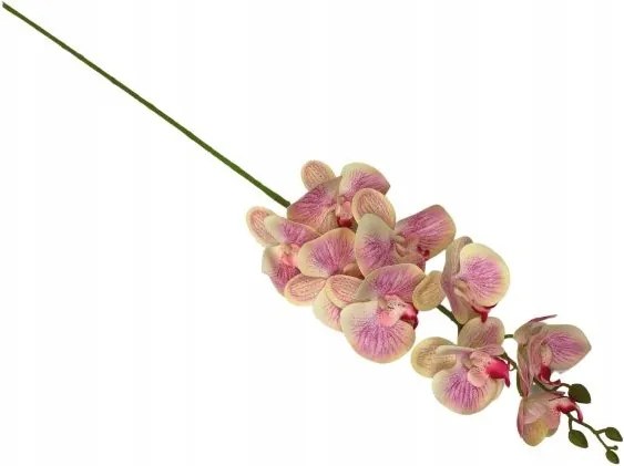 Orchidea ág 99 cm krém rózsaszín
