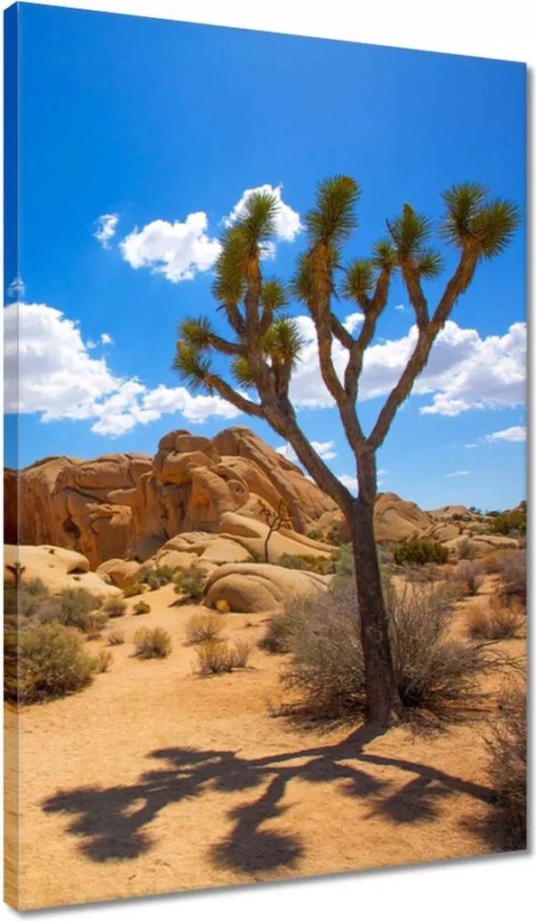 Vászonkép 40x60 Sivatagi táj