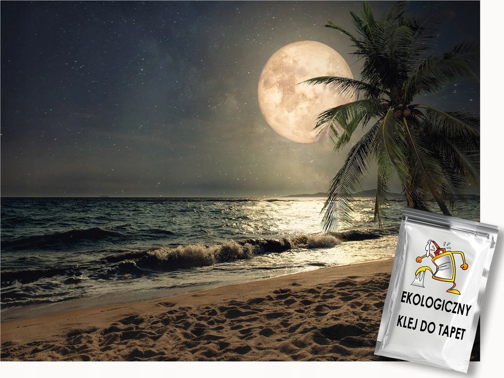 Fotótapéta Flizelina Éjszaka Tengerpart Óceán Pálmafák Telihold 100x75 ragasztó