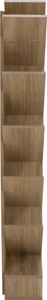 Polcrendszer, szürkésbarna tölgy, VEVEY