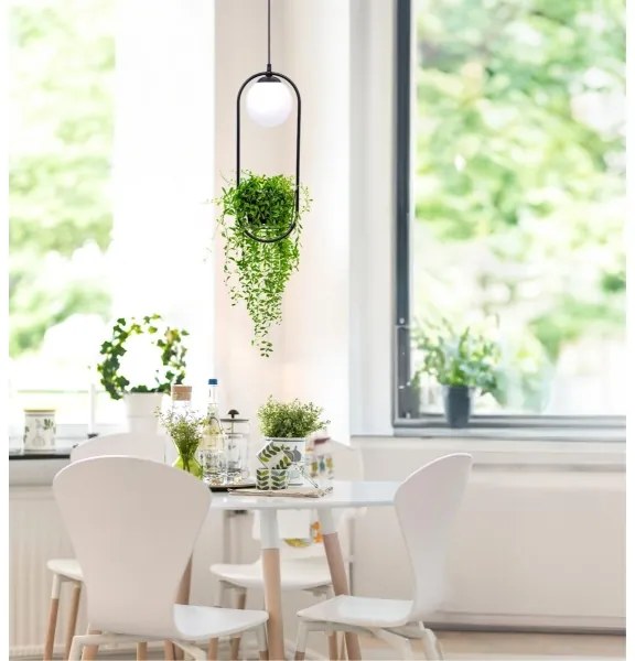 Zuma Line 5003 - Csillár zsinóron PLANT 1xE14/40W/230V fekete