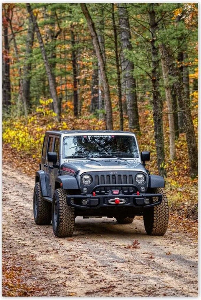 Poszterek 80x120 Jeep Wrangler az erdőben