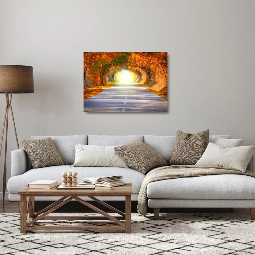 Kép - kapu a fák koronájából (üvegen) (70x50 cm)