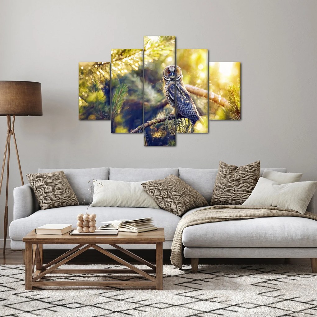 Egy bagoly képe a fán (150x105 cm)