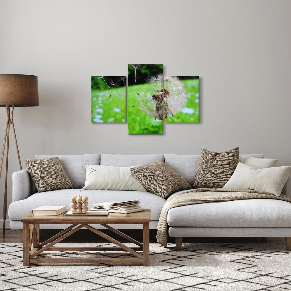 Pitypang képe (90x60 cm)
