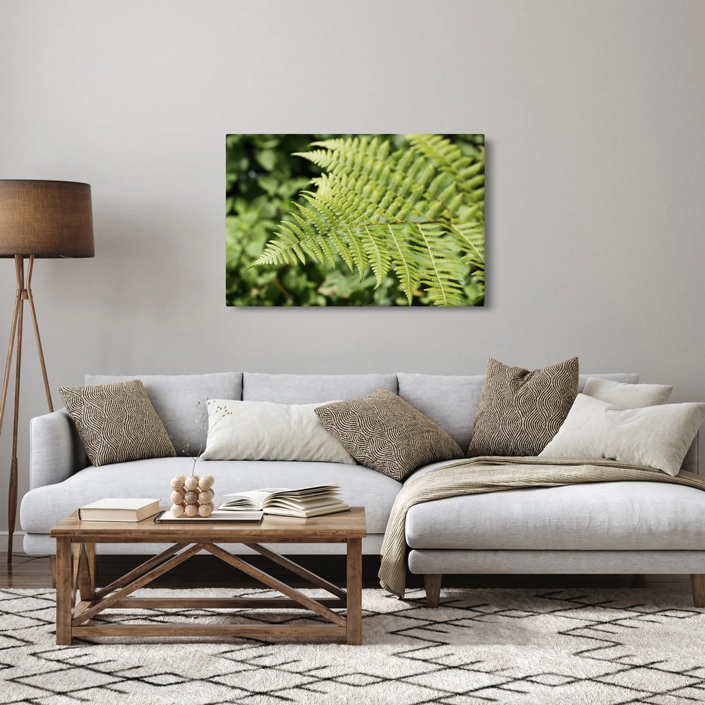 Kép - Páfránylevél (90x60 cm)