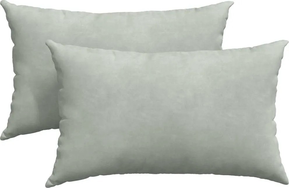 vidaXL Kanapé párnák 2 pcs Világosszürke 50 x 30 cm Bársonyos szövet