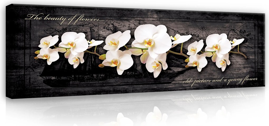 Vászonkép Orchidea Virágok Modern Hosszúkás Falikép Nagy 145x45