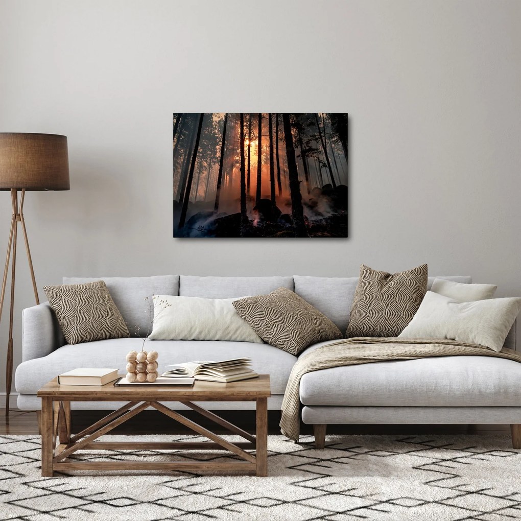 Sötét erdő képe (70x50 cm)