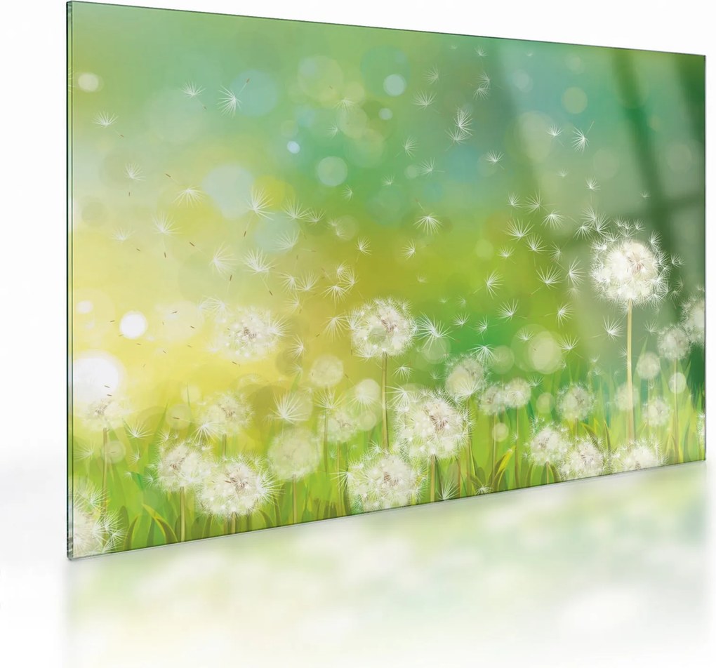 Kép - Virágozatlan pitypang (üvegen) (70x50 cm)