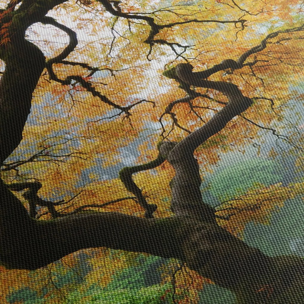Egy sárga japán juhar képe, Portland, Oregon (órával) (90x30 cm)