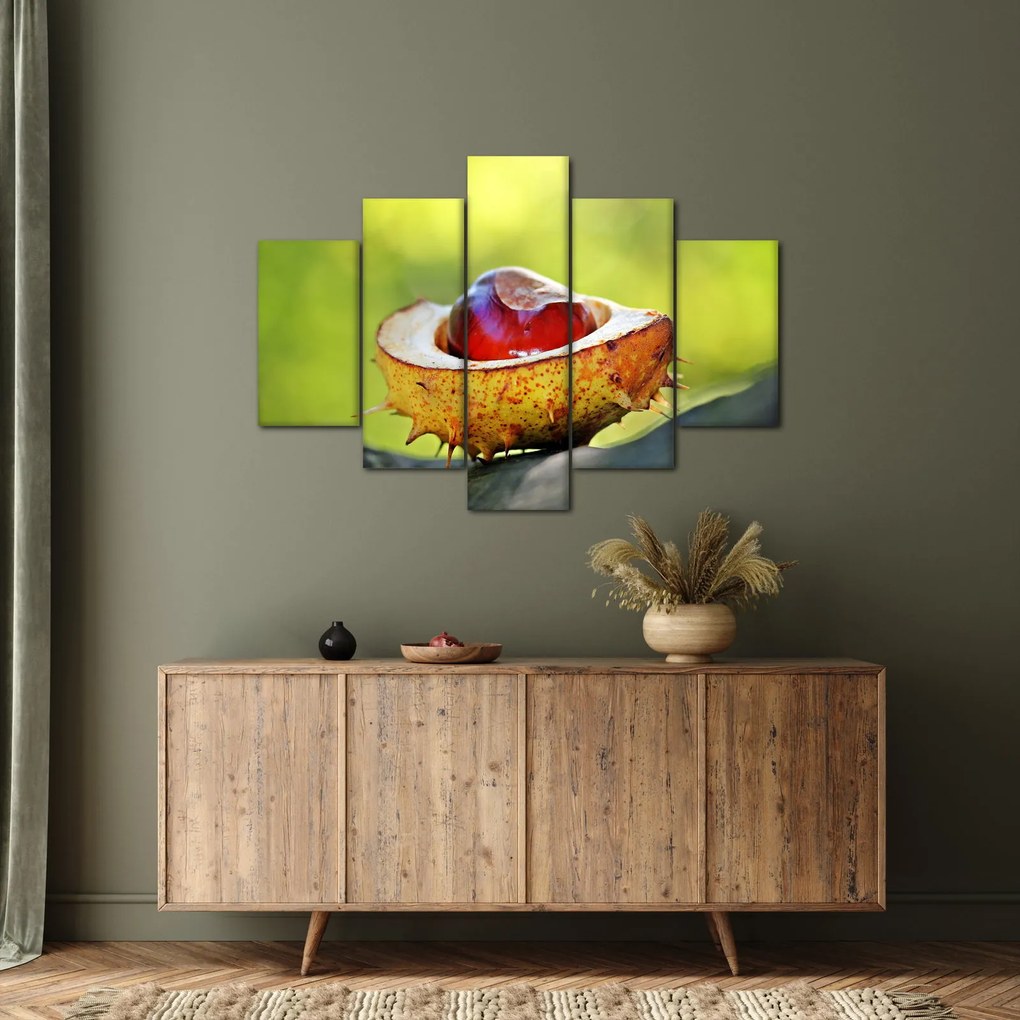 Gesztenye képe (150x105 cm)