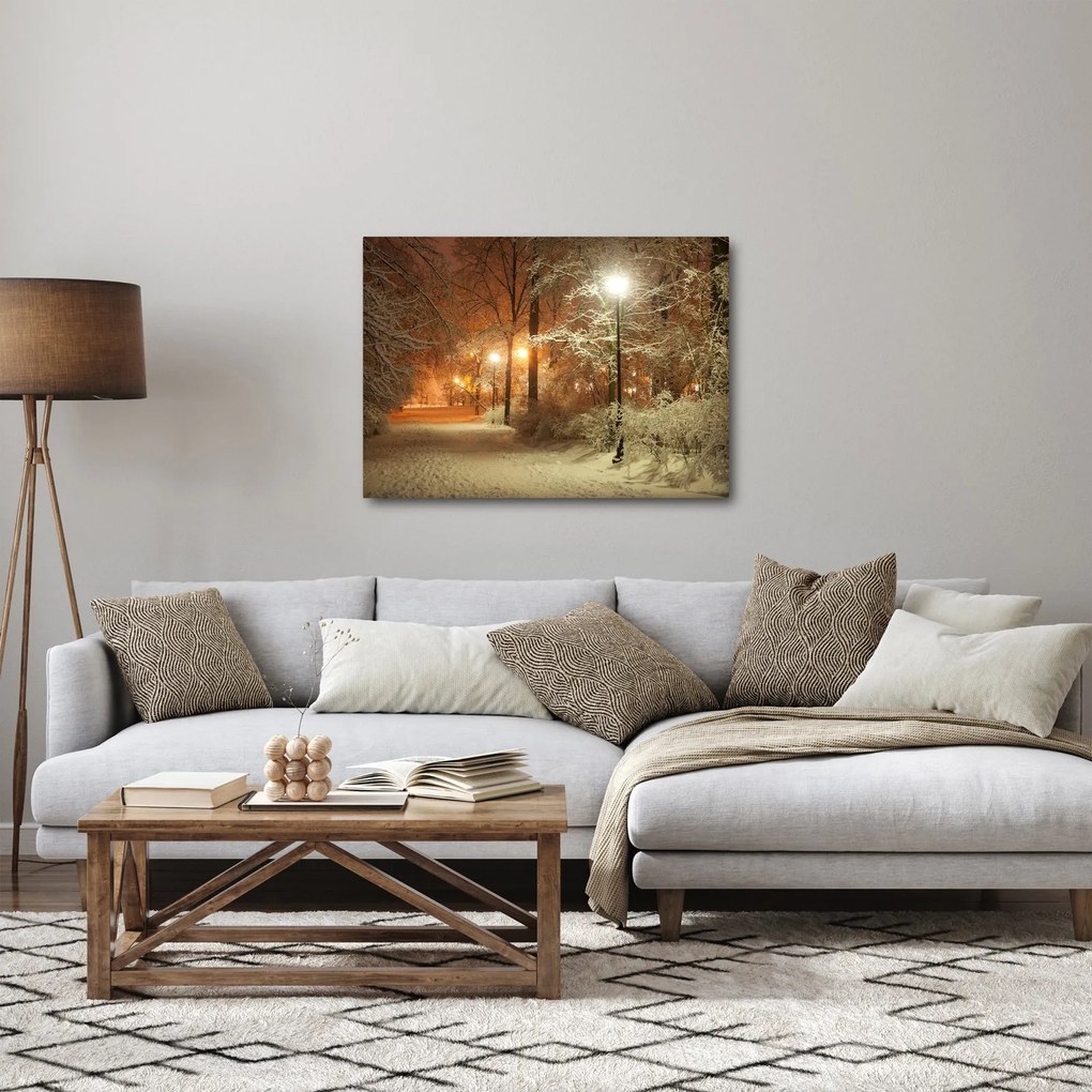 Kép - havas park (70x50 cm)