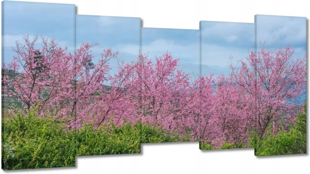 Vászonkép 150x80 Virágzó cseresznye