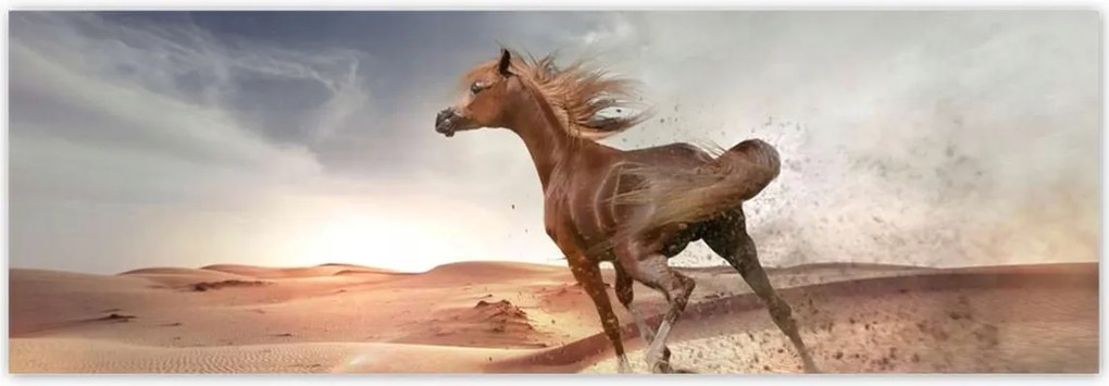 Fotótapéták 312x104 Galoppozó ló