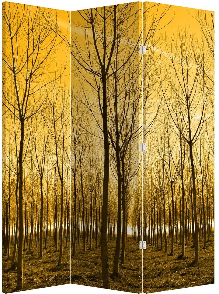 Paraván - Erdő naplementekor (126x170 cm)
