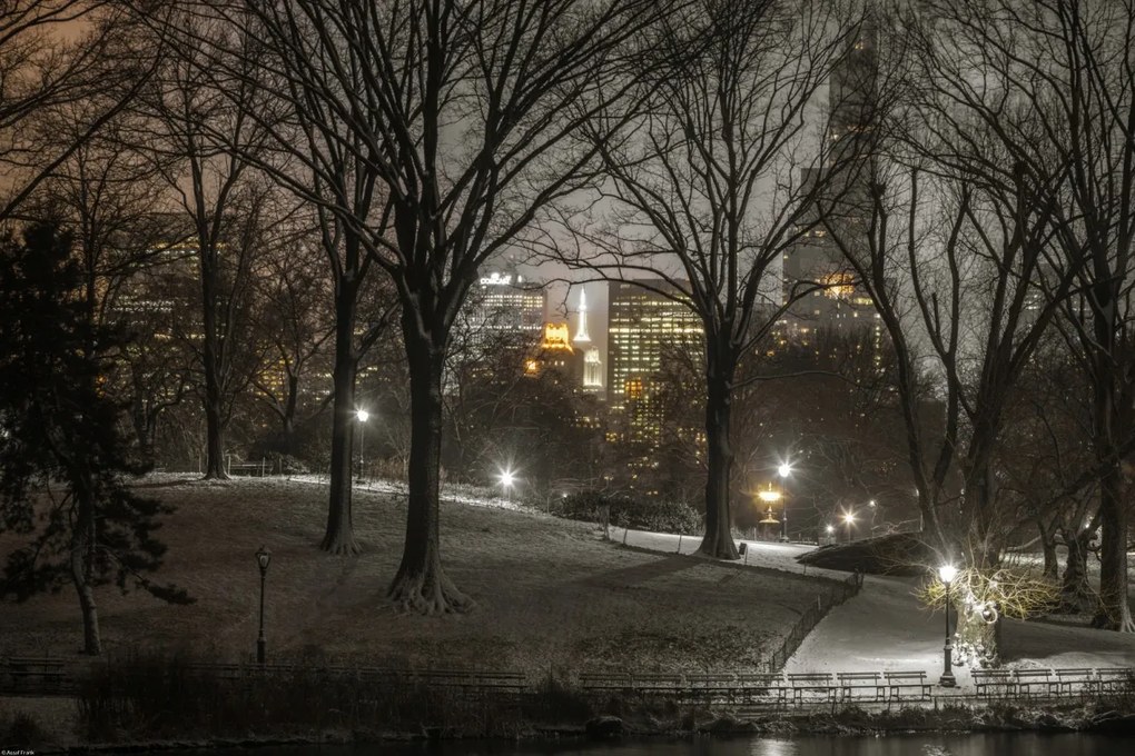 Poszter 60x40cm Central Park éjszaka, Assaf Frank
