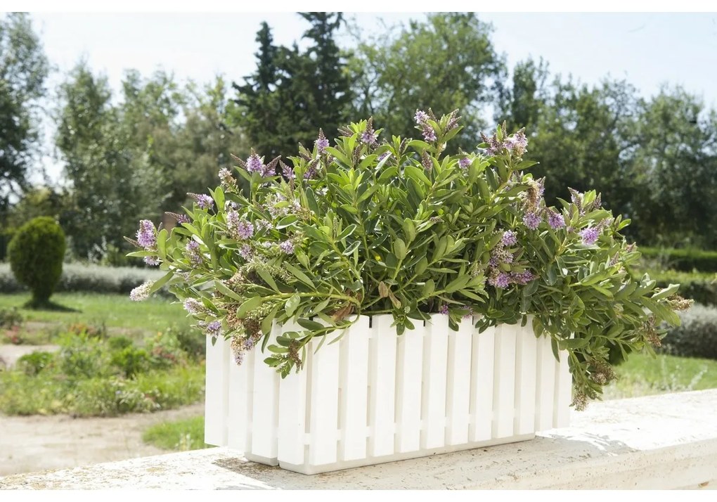 Gardenico Fency virágláda, fehér, 50 cm, 50 cm