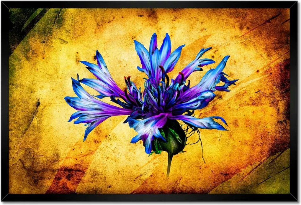 Poszterek keretben 60x40 Blawatek