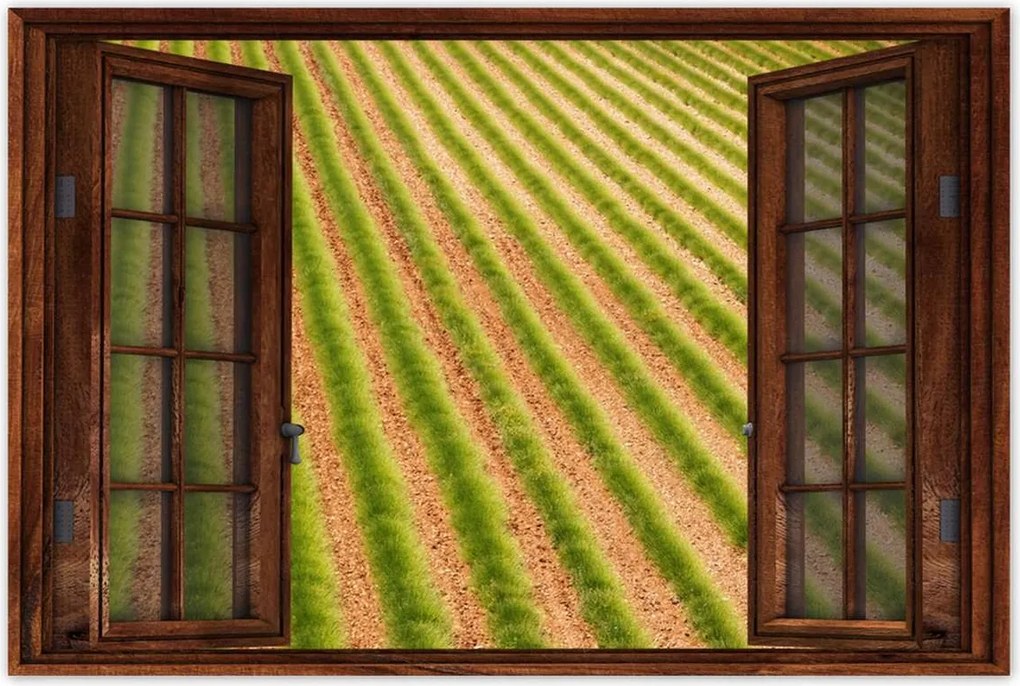 Poszterek 90x60 Zöld Provence