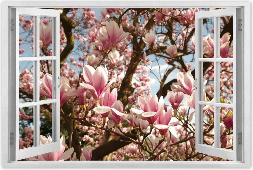 Poszterek 90x60 Magnólia Virágok Kék