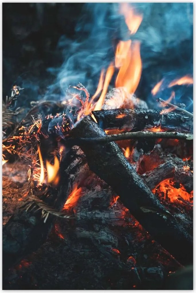 Poszterek 80x120 Tűz az éjszakában az erdőben