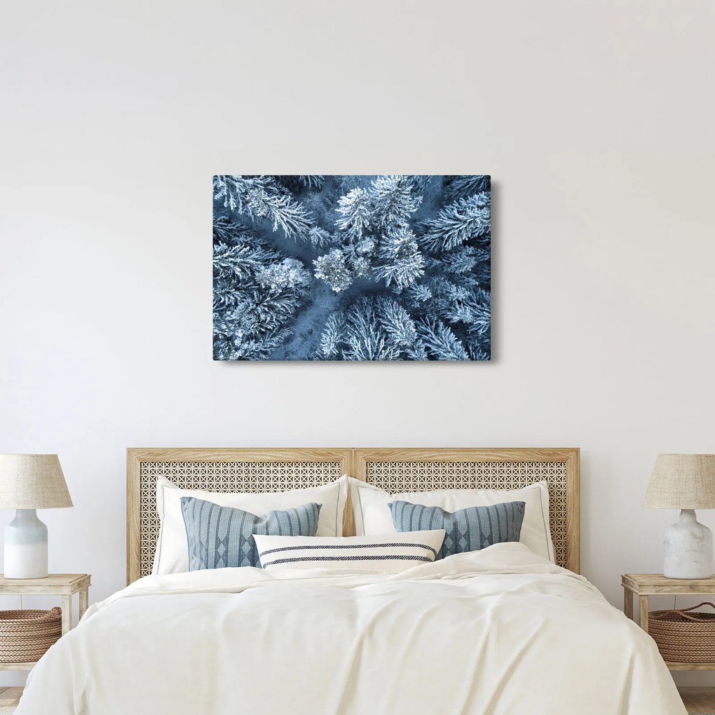 Kép - Havas erdő (90x60 cm)